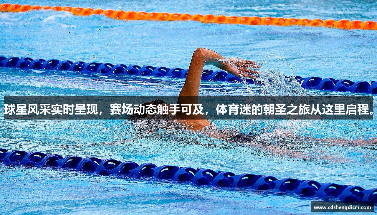 球星风采实时呈现，赛场动态触手可及，体育迷的朝圣之旅从这里启程。